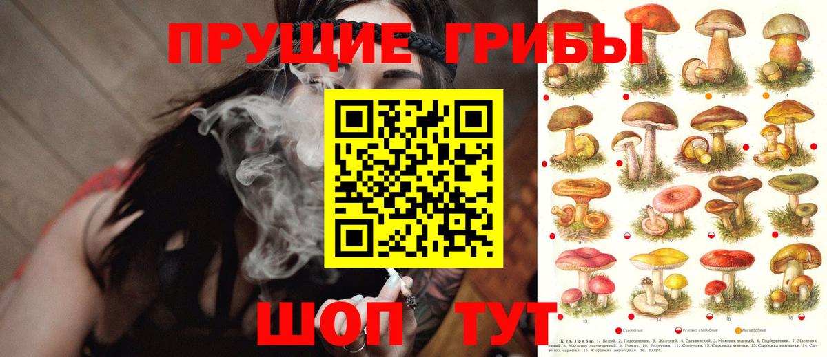 Галлюциногенные грибы Psilocybe  Вход с VPN  Галлюциногенные грибы Magic Shrooms  Ханты-Мансийск 